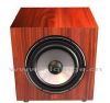 Professional subwoofer