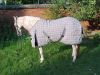 Horse Clothing Blanket