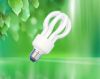 Energy Saving Lamp (Lo...