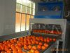fruit washing and waxi...