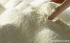 Export Skimmed Milk Po...