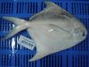 Silver Pomfret Fish