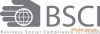 BSCI AUDIT CONSULTING