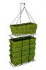 Moss Hanging Pots