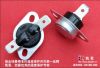 thermal protector for ...