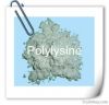 Polylysine