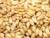 Flaxseed Extract (Lign...