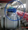 Motorized Ball Valve