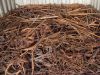 Copper Scraps Suppliers | Copper Scrap Exporters | Copper Scrap Manufacturers | Cheap Copper Scrap | Wholesale Copper Scraps | Discounted Copper Scrap | Bulk Copper Scraps | Copper Scrap Buyer | Import Copper Scrap | Copper Scrap Importers | Copper Scrap 