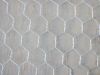 Hexagonal Wire Mesh