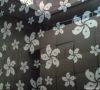 Decorative Stainless Steel Sheet