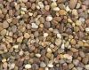 Bulk Aggregates