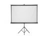 Tripod Screen