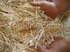 WHEAT STRAW
