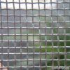 Galvanized Square Wire Mesh