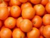 Navel orange and orang...