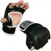 MMA Glove