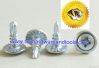 modified truss, wafer head self-drilling screw