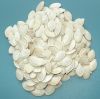 Pumpkin seed kernel
