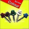 hex head self drilling screw with EPDM washer