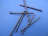 common iron nails