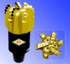 PDC drill bit ----jialin