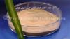 yeast extract for seas...