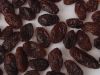 raisin