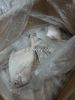 Frozen Pomfret for Sal...