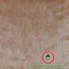 Chinese Cherry Veneer