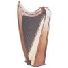 Irish folk harp