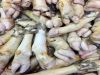 Lamb/Sheep feet