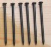 common nail