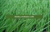 artificial grass, synt...