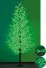 LED tapered pine cypre...