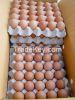 Farm Fresh Chicken Eggs