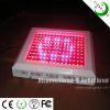 LED Plant Grow Light