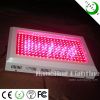 LED Plant Grow Light