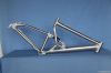 Aluminum Bike frame (suspension)