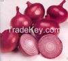 fresh fruits & veg...