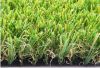 Football Grass