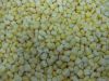Frozen Sweet Corn