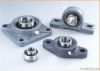 Pillow Block Bearing