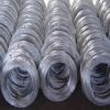 Galvanized Wire