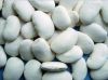 Large White Kidney Bean