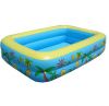 Environmental inflatab...