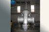 Flat Gate Valve (Doubl...