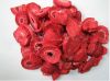 freeze dried vegetables and freeze dried fruits