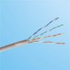 FTP Cat5 Network Cable