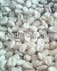 White Non GMO Maize